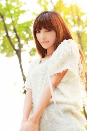 树影迷宫电视剧免费播放